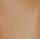 Bloch Tan Swatch